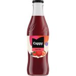 Cappy Eper Mix 0,25 üv. 34% 24/#