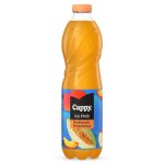Cappy Ice Fruit Őszi-S.Dinnye  12% 1.5l  6/# DRS