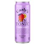Carly's Gin&Tonic Mis/fit Mango 0,25 4,9%