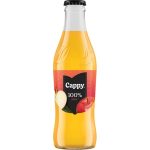 Cappy Alma 100% 0,25 üv. 24/#