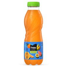 Cappy Ice Fruit Multivitamin 12% 0.5l 12/# DRS Cappy Ice Fruit Multivitamin 12% 0.5l 12/# DRS