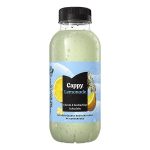 Cappy Lemonade Bodza-Citrom  0,4l  12/# DRS