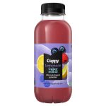 Cappy Lem. Citrom-Bogyós gyüm. ZERO 0,4l 12/# DRS